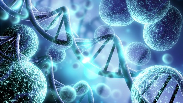 Biology Basics