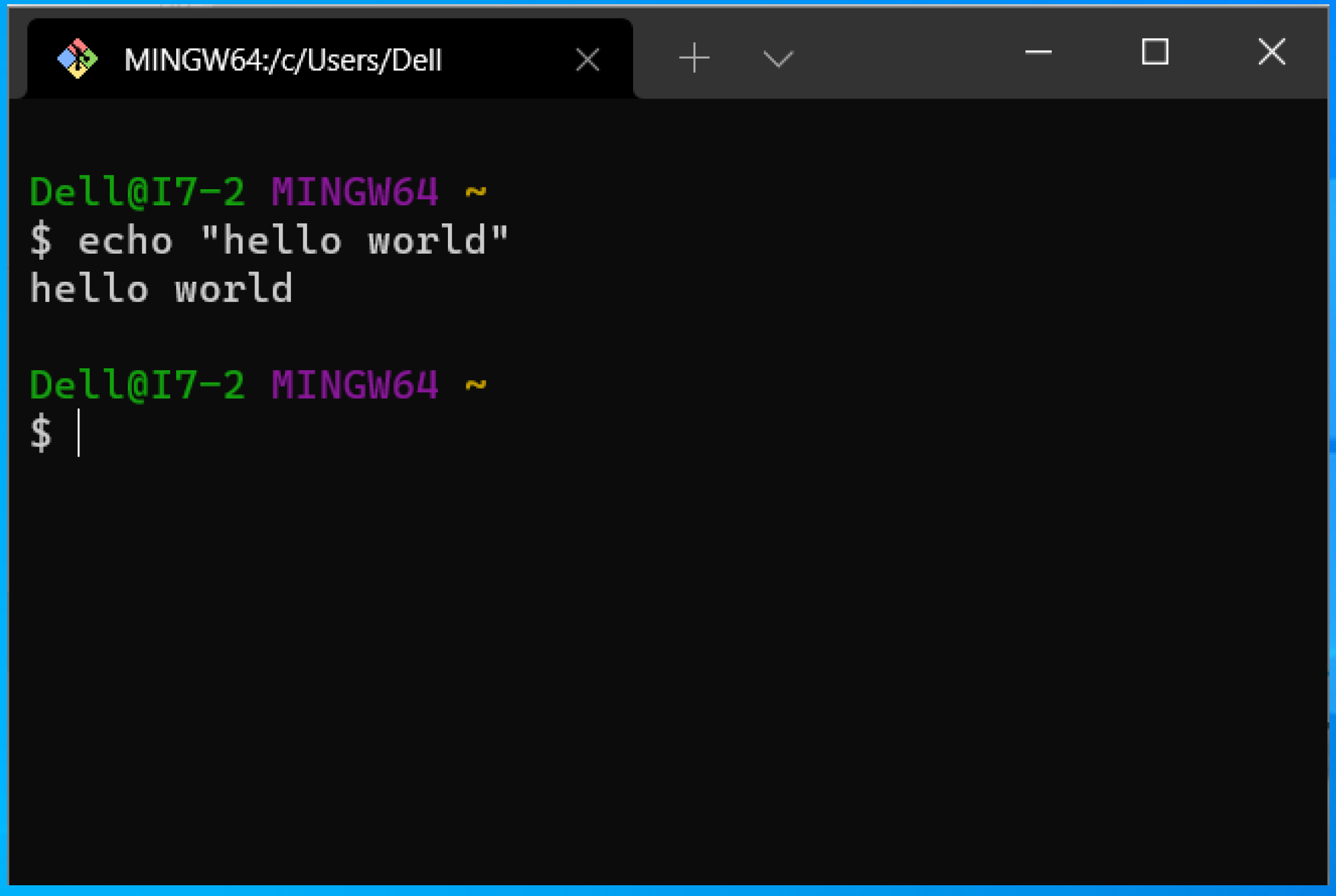 Bash Terminal