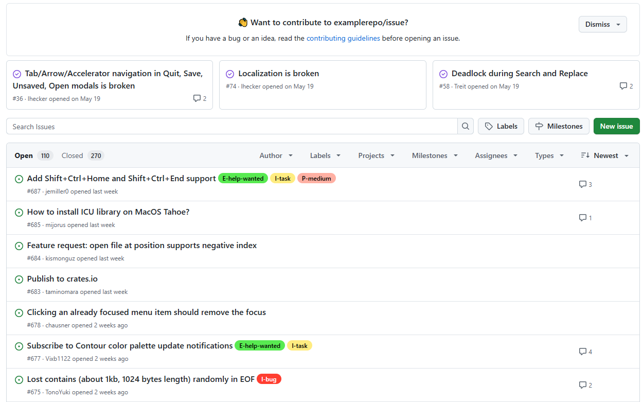 Issues List Screenshot